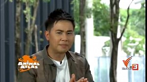 Animal Atlas 27 Aug 2017