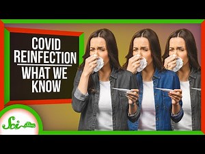 COVID-19 Reinfections Are a Thing: Here’s What We Know So Far | SciShow News