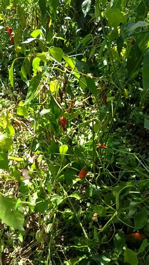 37K views · 2.3K reactions | Scenery view | Mountain Explore | Facebook