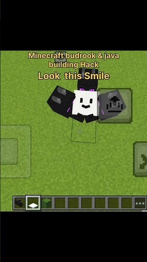 Bedrock & Java Players Don’t Know This Build Hack 😍