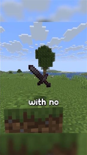 diamond sword vs netherite sword in minecraft #minecraft