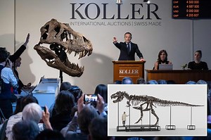 Private collector snaps up T-Rex skeleton for €4.9m at Swiss auction