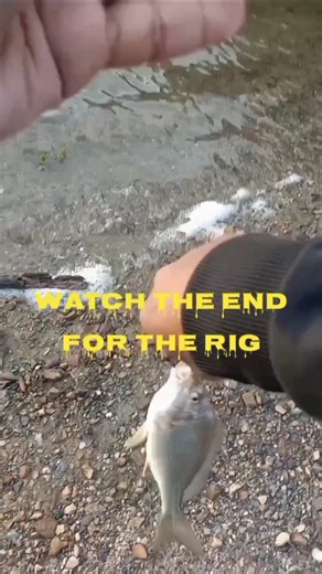 Beginner fishing tip: Use this rig to avoid snags.
