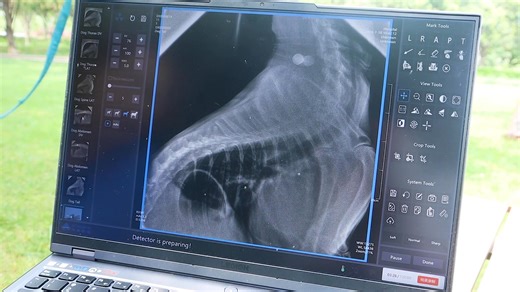 49 reactions · 8 comments |  New Portable X Ray Machine for Animals #animalsxray #xraymachine #petxray | Xrdent Technology Co., Ltd. | Facebook