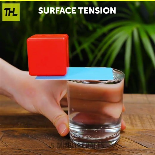 Don’t Skip This Video 🤯 | Ultimate Science Twist Experiments