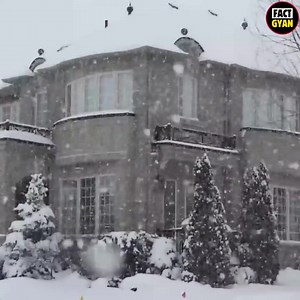 516K views · 10K reactions | Amazing Facts #facts #fact #factsdaily | Facts Book | Facebook