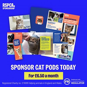 7.2K reactions · 165 shares | Help create more life-changing transformations for cats like Beetle, by sponsoring cat pods for £6.50 a month.  | RSPCA (England & Wales) | Facebook