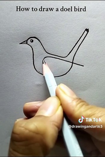 How to Draw a Doel Bird: Step-by-Step Guide