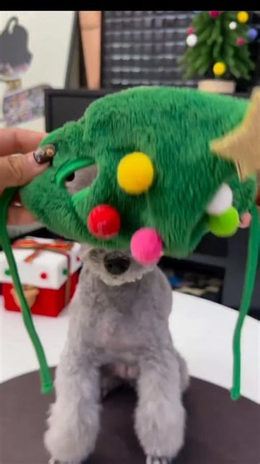 AddToCartAddicted | Daily Deals | Viral Finds on Instagram: "Make your pup holiday-ready with this Dog Christmas Hat & Bandana Set 🎄🐶 Cute, comfy, and photo-perfect, it adds instant festive vibes to any dog outfit. Soft, lightweight fabric ensures all-day comfort while your furry friend spreads Christmas cheer at parties, walks, and family photos. Because your dog deserves to look festive too!🥰 Shop it from my bio 🛍 or comment WANT (only for followers) #dogchristmas #christmasdog #petchristm