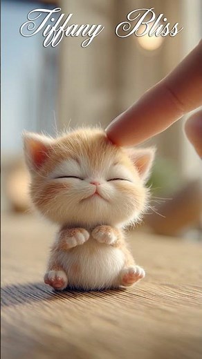 Adorable Miniature Kittens You Can Pet with One Finger