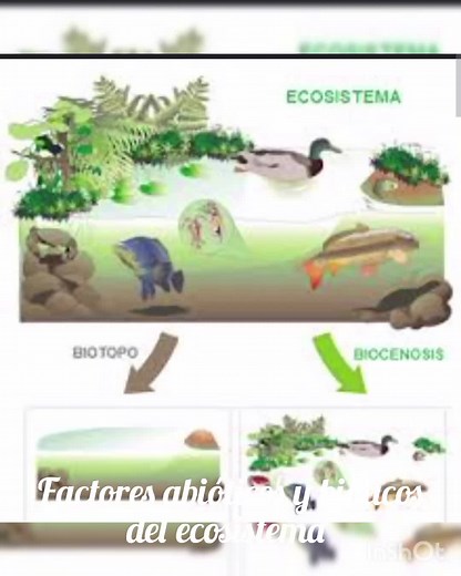 Factores abióticos y bióticos del ecosistema. #ecosistema #biotopo #biocenosis #suelo #atmosfera #agua #vida #venezuela🇻🇪