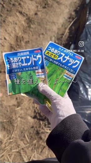 収穫が楽しみだね🥬 #農業 #ファーム生活 #農村生活 #ショート #vlog