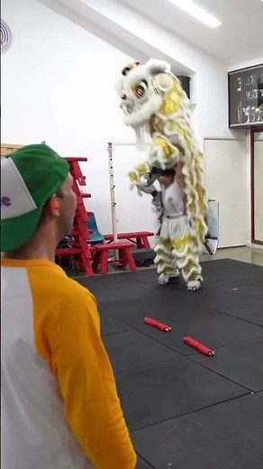 Lunar New Year | Dragon and Lion Dancing, Chinese New Year Celebrations For Kids