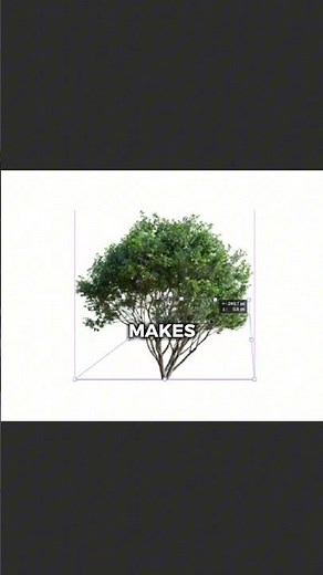 Photoshop Fake Shadows #photoshop #adobe #tutorial