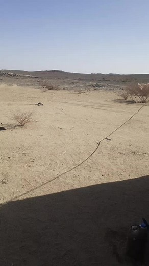 Exploring the Beauty of Barren Desert Landscapes