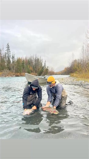 #alaska #alaskafishing #troutfishing #trout #kenai | Hannah Phillips