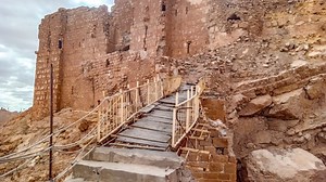 Ten years on: The HALO Trust and the future of Syria's Palmyra - Vatican News