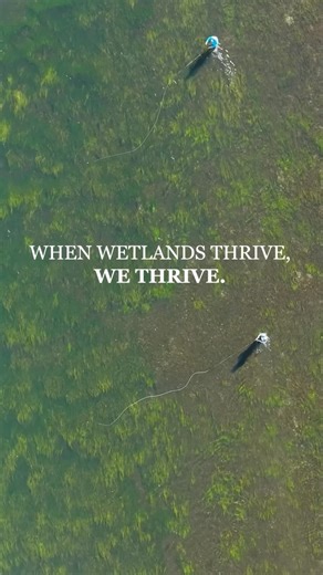 May is American Wetlands Month, and we at Ducks Unlimited are excited to celebrate our passion for conservation throughout the entire month. Stay tuned! We’ve got some cool things coming your way! | Ducks Unlimited