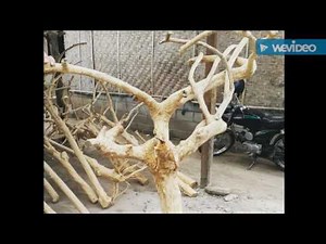 Java Wood Tree Play Stand, Bird Perch, Parrot Stand, Supplier and Manufacture +62819-0407-2777