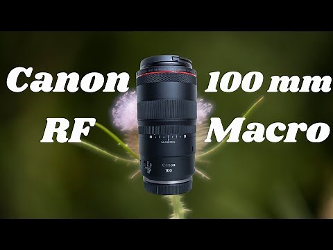 Canon RF 100mm macro f/2.8 L - test de la bague SA CONTROL avec le EOS R6