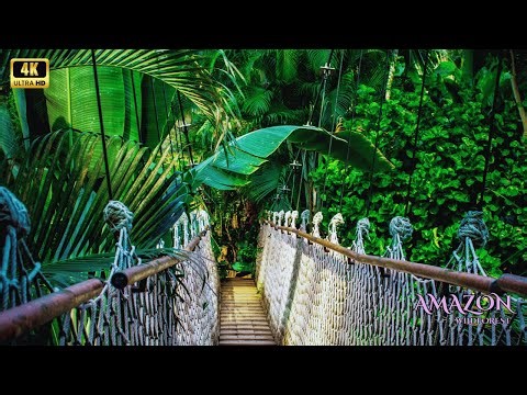 Amazon 4K - A Journey Through Life’s Hidden Forest