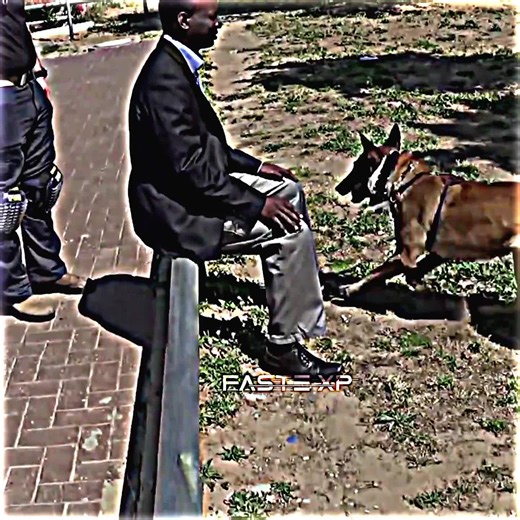 Dog Protection: Doberman vs Injongos Armwrestling Showdown