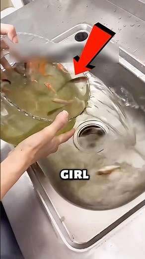 Cleaning a Fishbowl Like a Pro 😱 (@nhungthuvotrine on TT)