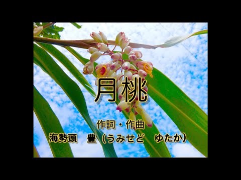 【フル】月桃（沖縄の歌）