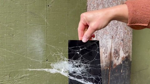 The creepy reason DIYers are collecting real spiderwebs before Halloween