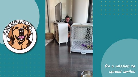 The Year’s Top Dog Treat Taste Tests