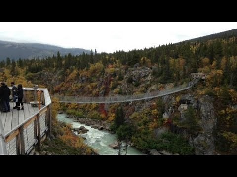 Yukon Suspension Bridge & White Pass Summit Tour - Skagway, Alaska