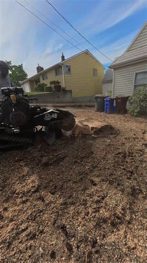 Expert Stump Grinding Services in Portland
