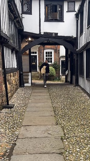 39 reactions | We may not have Freedom of the Town to walk sheep in Rye, but we are happy to loan dolly to The Mermaid Inn who are hosting the federation of sheep farmers tonight!  | Lola & SiDney | Facebook