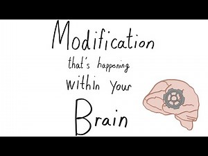 How does problem gambling affect your brain- Reellife Science