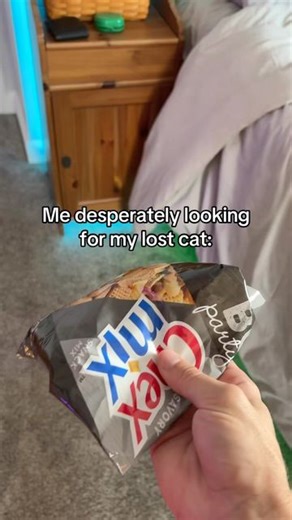 Blaze Technology | I found my cat in my PC #pc #pcbuild #gamingpc #pcsetup #catlover #catlife | Instagram