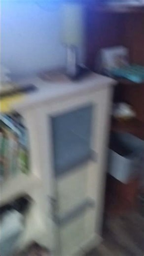 Zack D Films This Is Buc ees Im The World