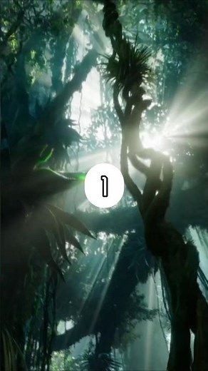 AVATAR 1 | Man and Nature. #cinema