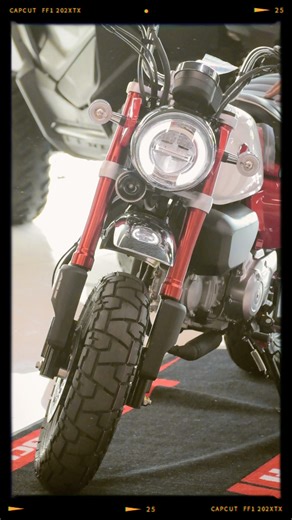 Un diseño que trasciende generaciones. Honda Monkey: auténtica, compacta y hecha para destacar. 🏍️😎 #hondamotosguatemala #HondaMotosGuatemala #Motos #Honda | Honda Motos Guatemala