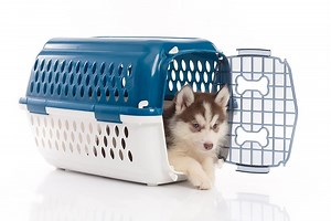 How to Make a Dog Crate Look Like Furniture in Six Easy Steps - PatchPuppy.com