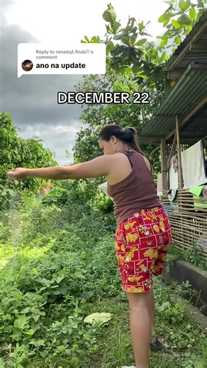 Effective Herbicide Solutions for Killing Grass