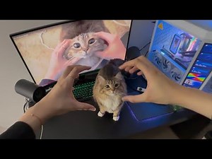 Don’t play computer!