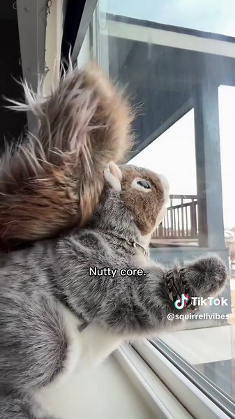 Explore the Art of Being a Squirrel