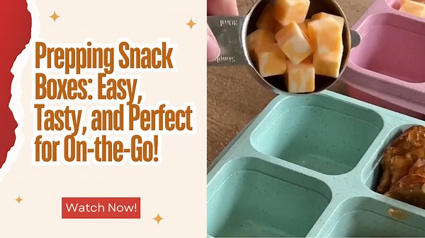 Quick and Tasty Snack Boxes for Busy Days