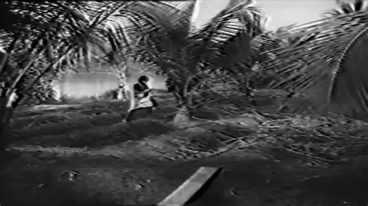 In 1970s, how did the censor board pass this scene from a film which was directed by IV Sasi