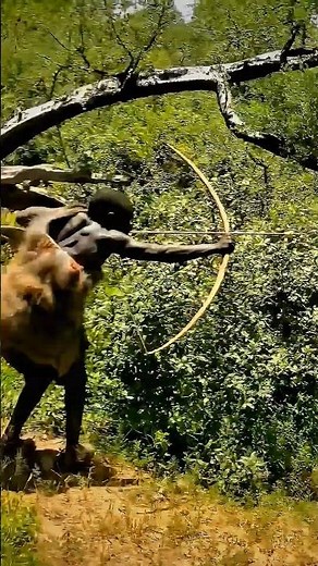 Starving Hunter Stalks a DANGEROUS Predator! (EPIC CHASE) 🐺🏹 #shorts