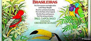 Música Clássica Brasileira - Os Maiores Compositores do País