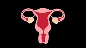 Women Health Check Concept Medical Check Stock Footage Video (100% Royalty-free) 3826108777 | Shutterstock