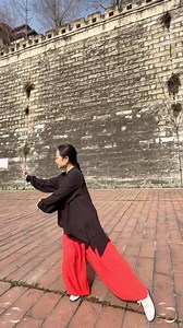 四十二式太極拳全套#四十二式太極拳# #42式太極拳# #四十二式太極拳競賽套路背向演#練 #42式太極拳背向演練##42式太極拳口令版# | 太极拳沅芷