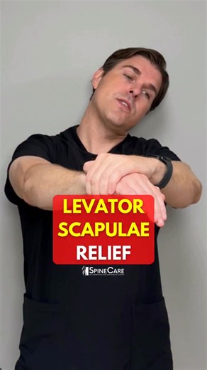 Dr. Michael Rowe | SpineCare on Instagram: "Dr. Rowe shows how to get quick relief from levator scapulae muscle pain, a common cause of neck stiffness and upper-shoulder discomfort. #levatorscapulae #upperbackpain #neckpain"