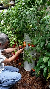 1.7M views · 33K reactions | Ask what "nutrients" I use | Keep on Growin' | Facebook